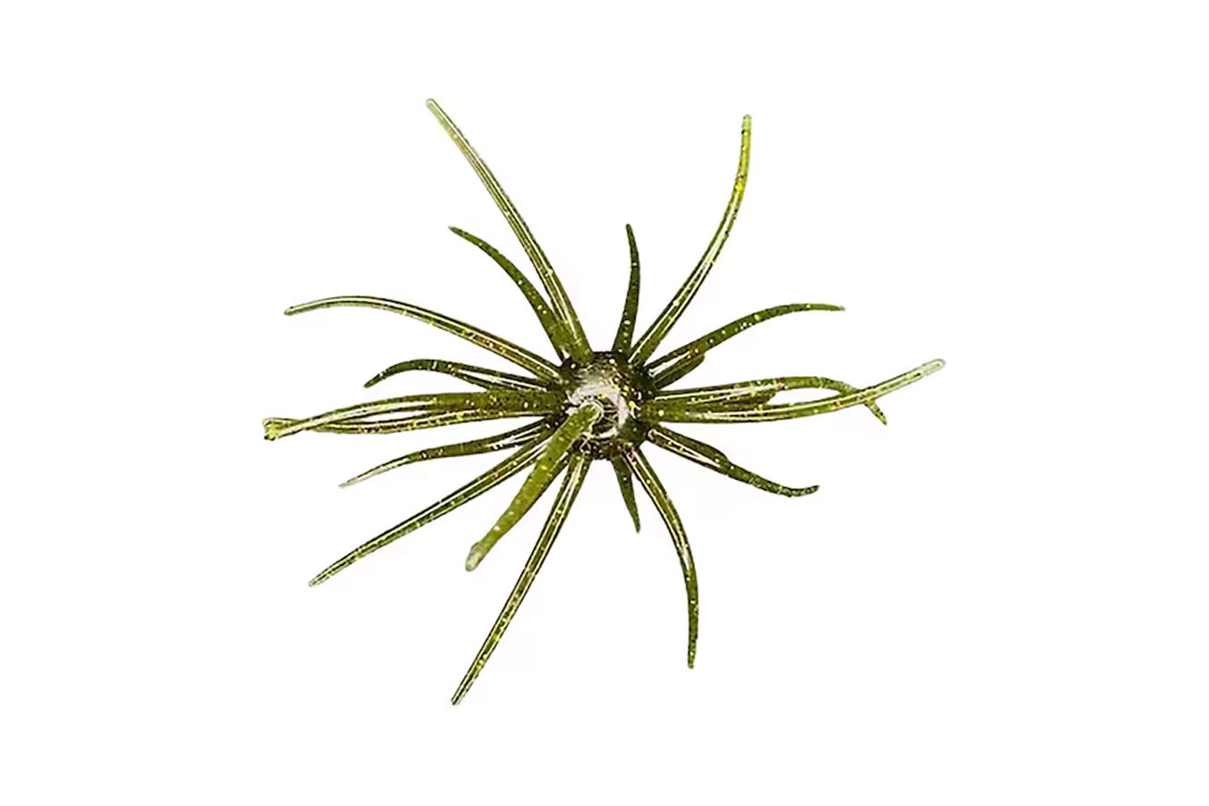 HAGS Prickly Pear Big Tex 25MM Urchin Bait